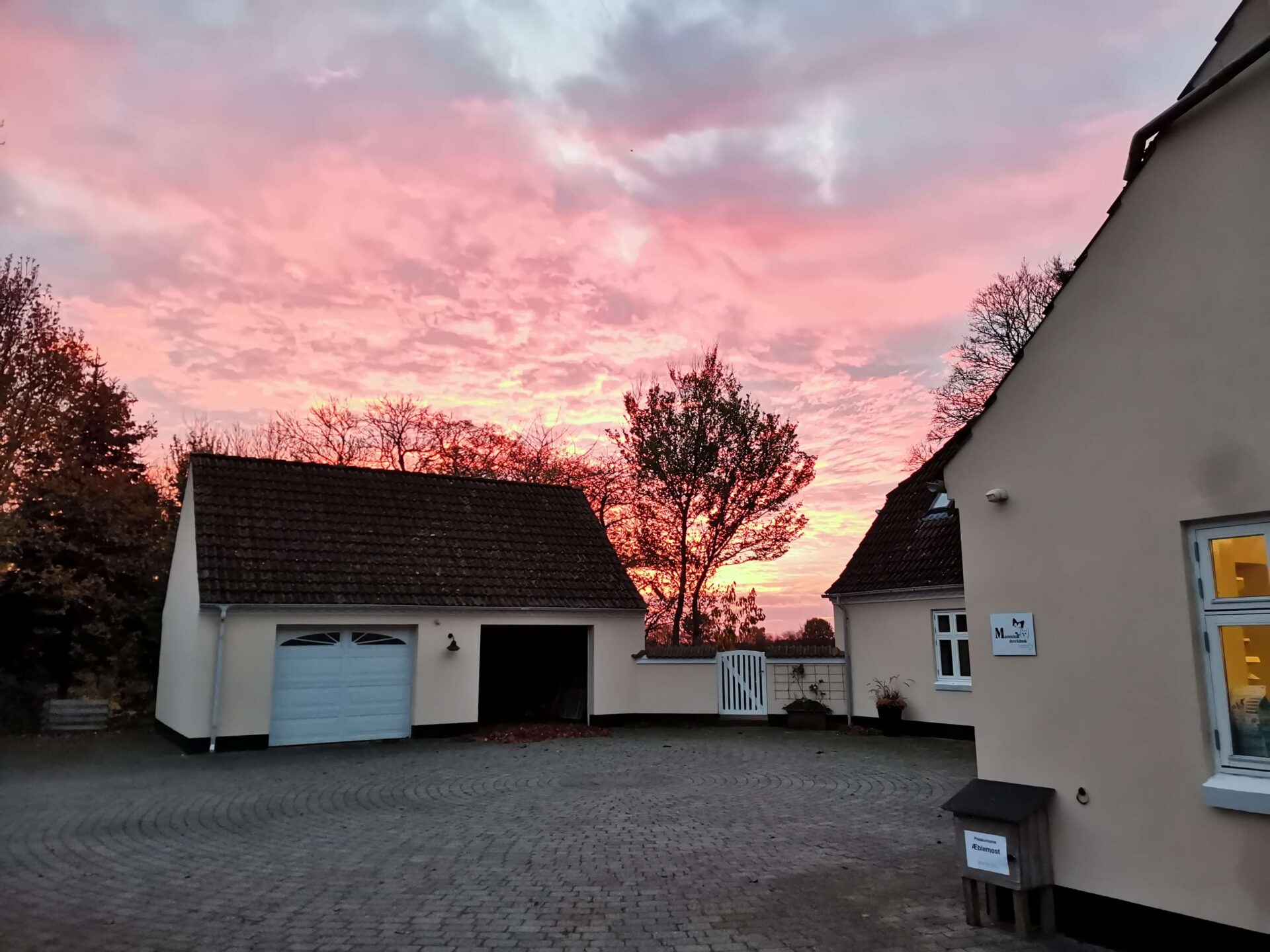 Marienhoff dyreklinik front solnedgang