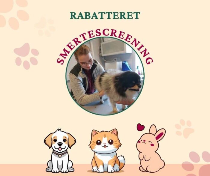 Rabatteret smertescreening